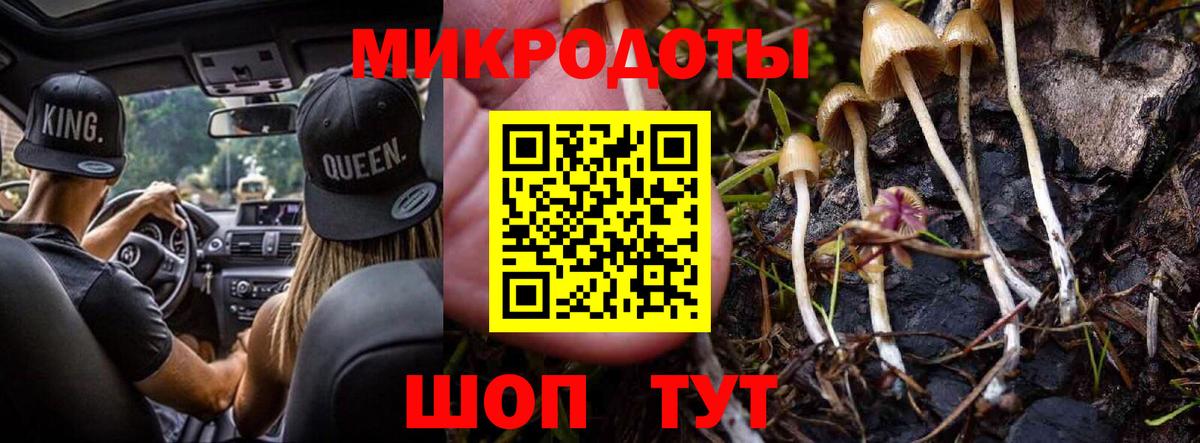 Серпухов  Галлюциногенные грибы MAGIC MUSHROOMS  Псилоцибиновые грибы ЛСД  Вход с VPN 