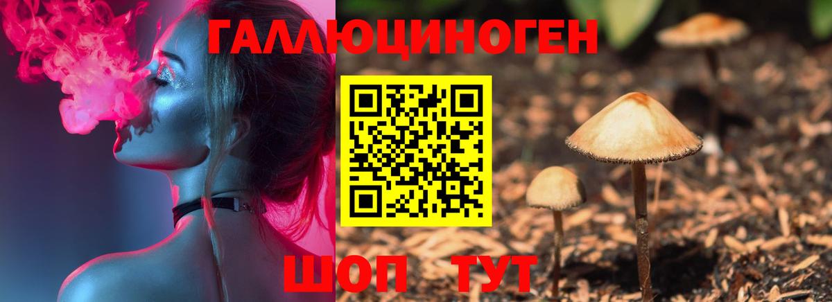 Галлюциногенные грибы мухоморы Серпухов
